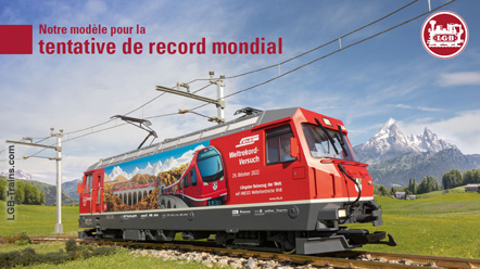 LGB Flyer, Locomotive 21431 French